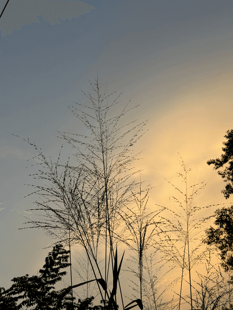 Photo taken at a specific place which Haritha loves