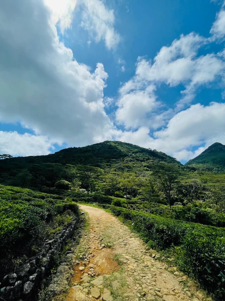 Photo taken at Hulangala Hiking Trail